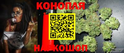 мяу мяу кристалл Тара