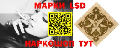гашик Тверь
