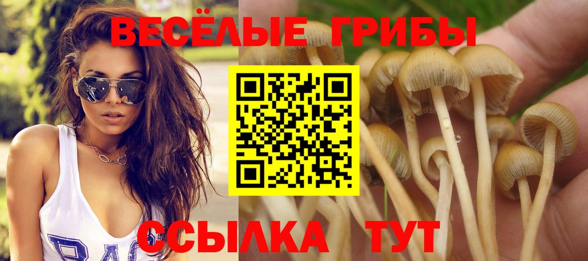 Псилоцибиновые грибы Magic Shrooms Нижневартовск